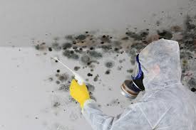 Best HVAC Mold Inspection and Cleaning  in Bristow, OK